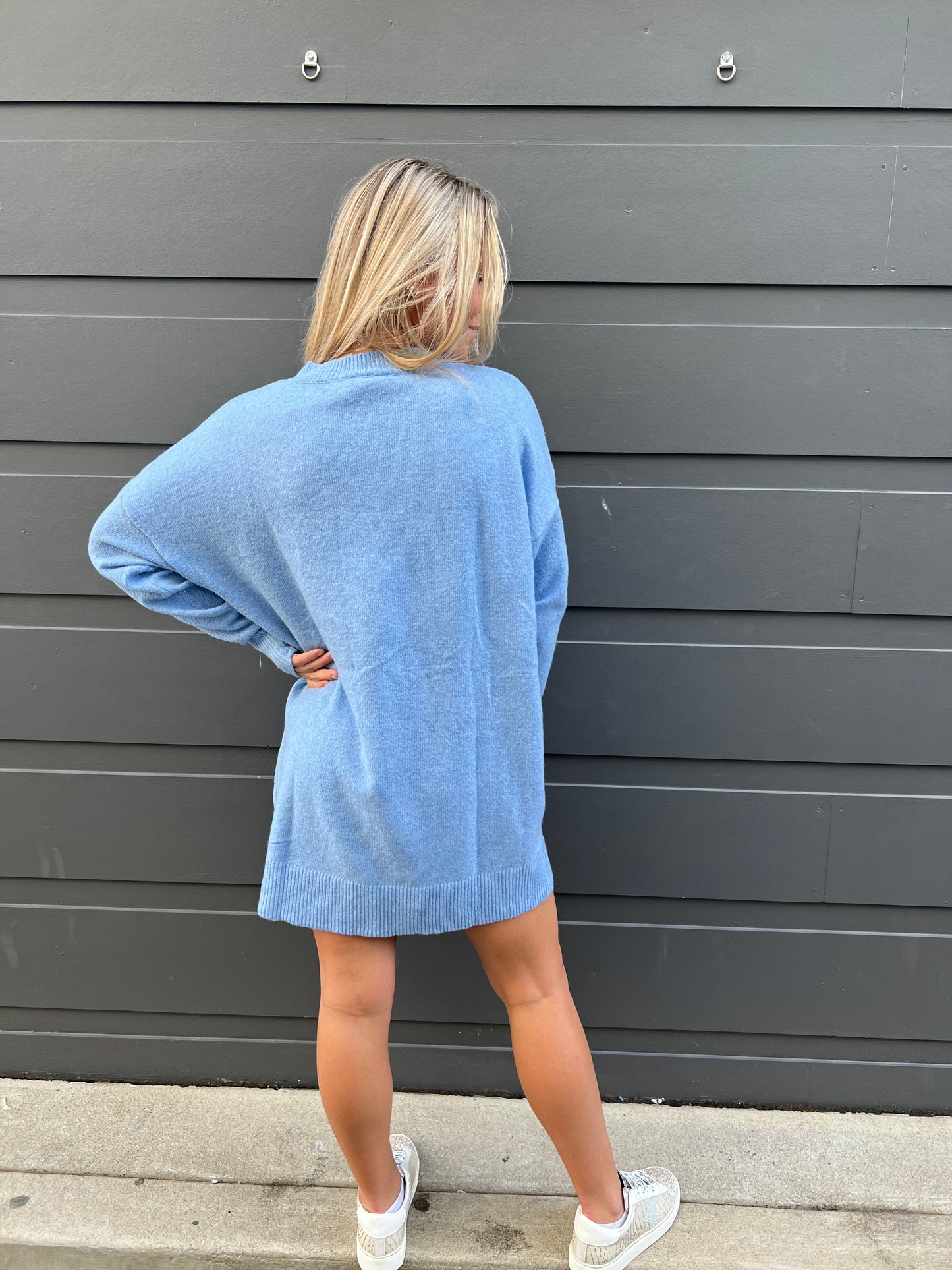 Small World Sweater Dress